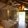 360 rainforest