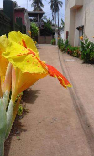 galle