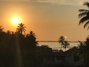 transit studio katunayake