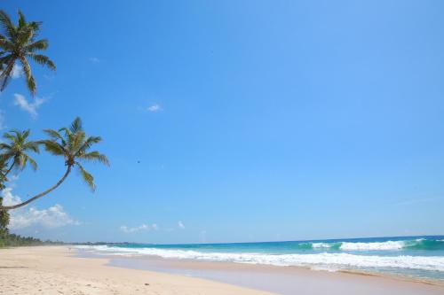 galle