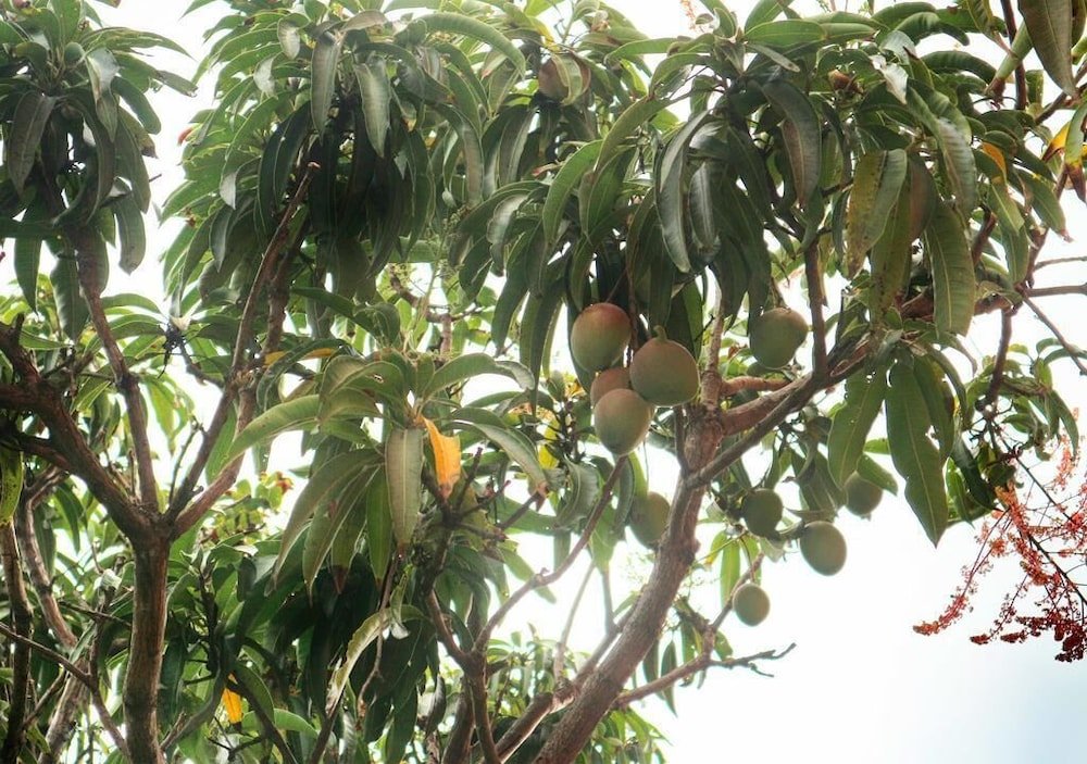 Villa De Negombo,,3.5 star