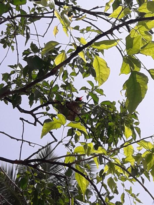 the nature holiday home