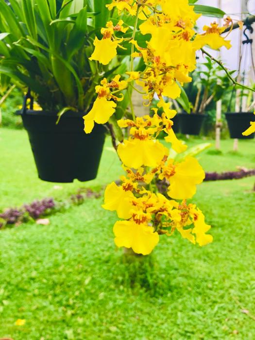 the nature holiday home