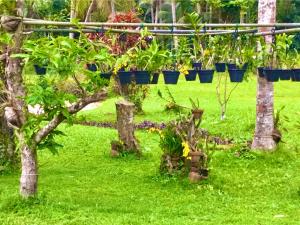 the nature holiday home