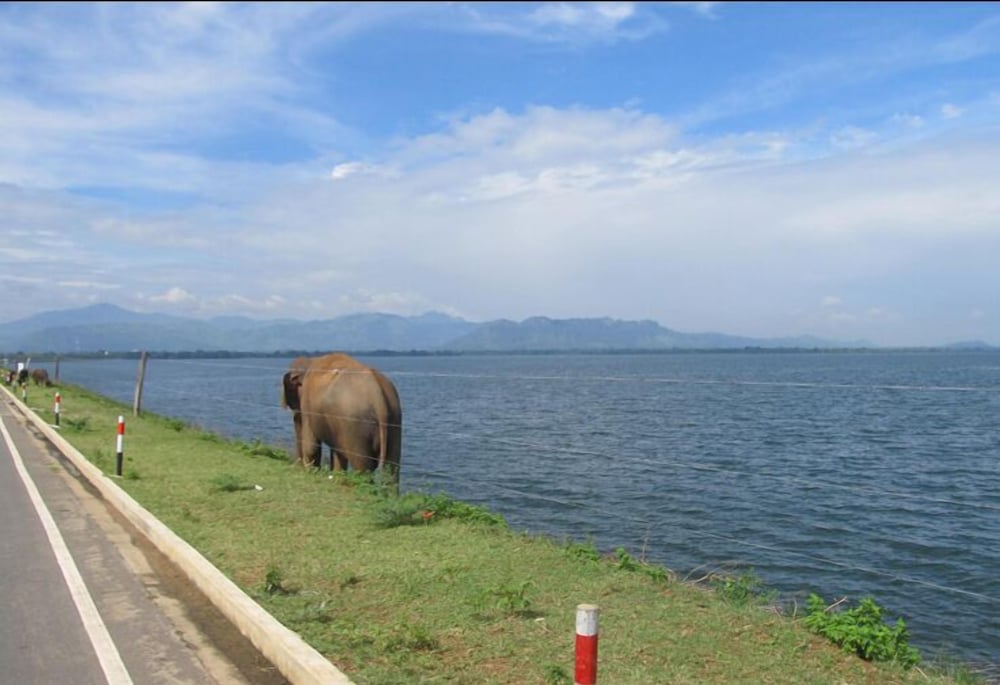 udawalawa