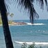 surf paradise hotel