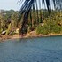 surf paradise hotel