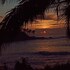 surf paradise hotel