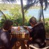 surf paradise hotel