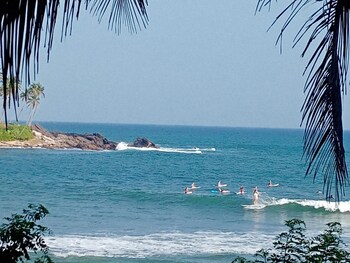 surf paradise hotel