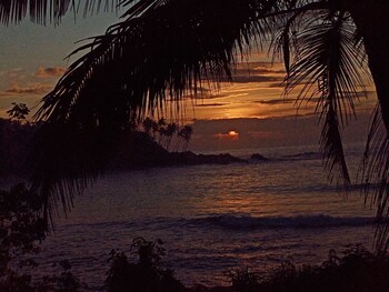 surf paradise hotel