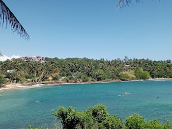 surf paradise hotel