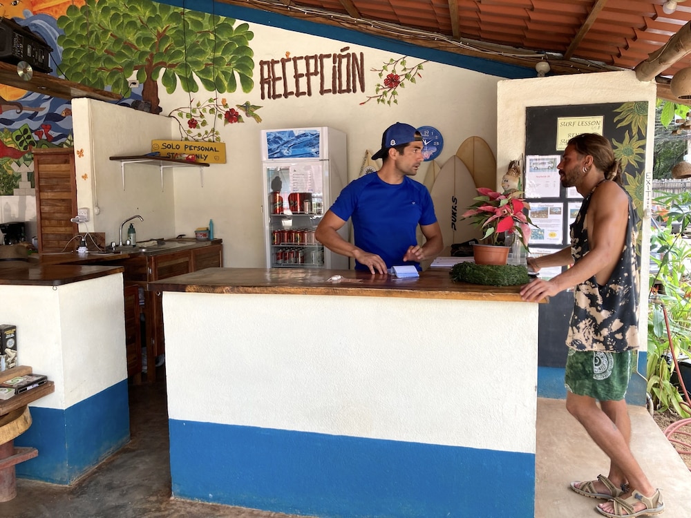 tamahostel and glamping