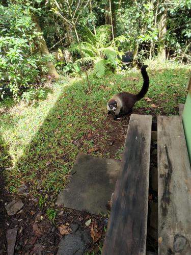 monteverde romantic cottage