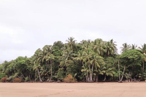 villa costa pura vida