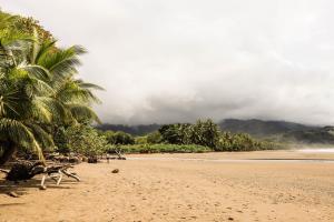 villa costa pura vida