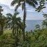 quepos