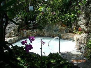 flamboyan on the bay resort and villas