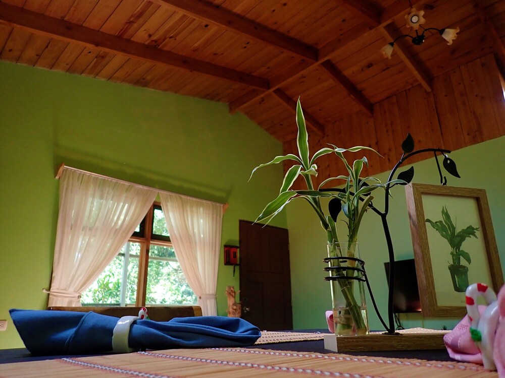 cassidini house