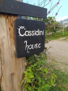 cassidini house
