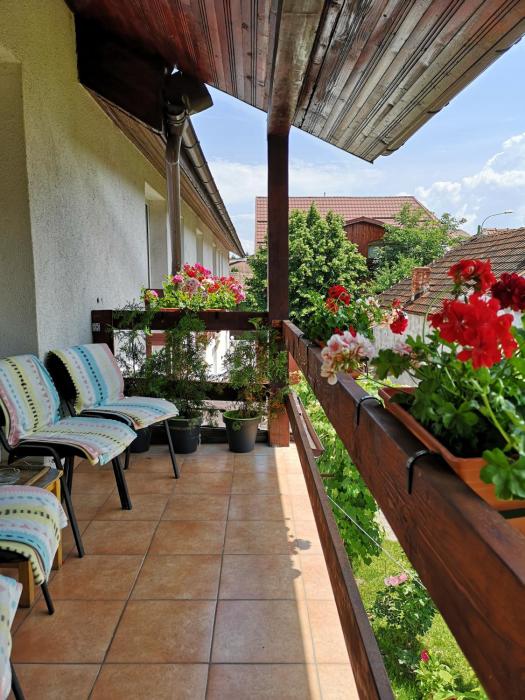 casa mais