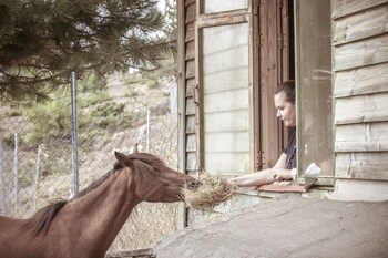 grand forest metsovo