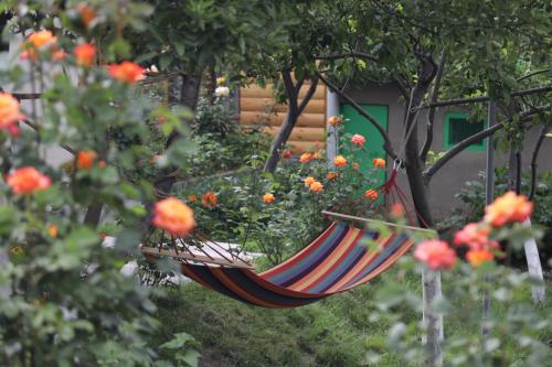 hayi tun guest house