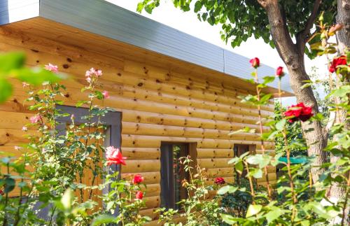 hayi tun guest house