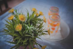 parivash guest house