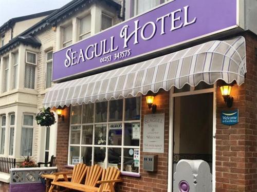 seagull hotel