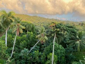samana