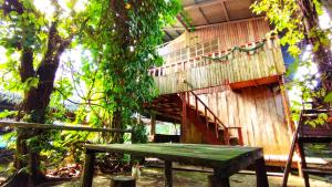 hospedaje y tours reina arriera amazonas colombia