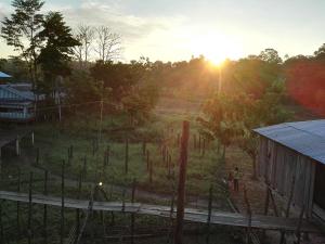 hospedaje y tours reina arriera amazonas colombia