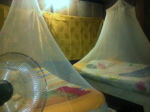 hospedaje y tours reina arriera amazonas colombia