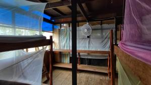 hospedaje y tours reina arriera amazonas colombia