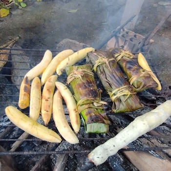 hospedaje y tours reina arriera amazonas colombia