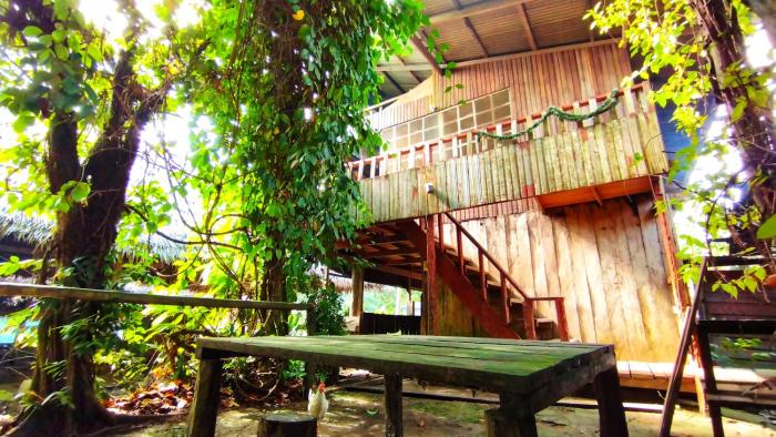 hospedaje y tours reina arriera amazonas colombia