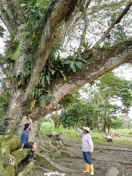 hospedaje y tours reina arriera amazonas colombia