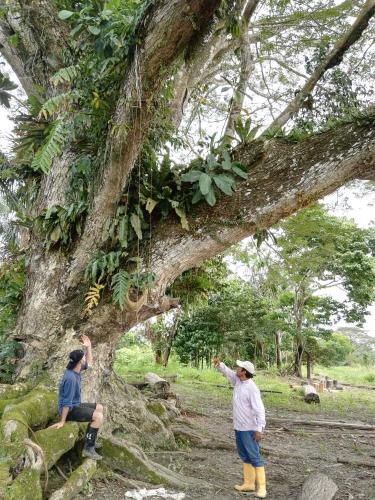 hospedaje y tours reina arriera amazonas colombia