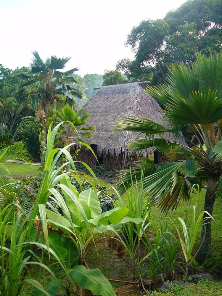 geckos resort