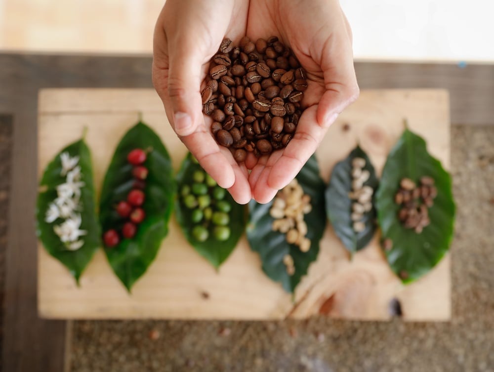 finca hotel santa helena