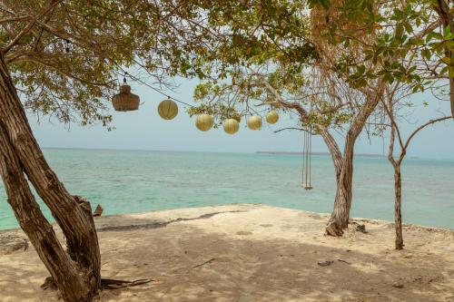 fragata island house