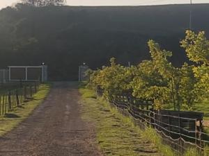 riversdale