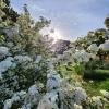 riversdale