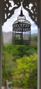 abigails garden cottage