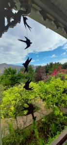 abigails garden cottage