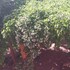 pmg hardware trading as wisteria lane guest house
