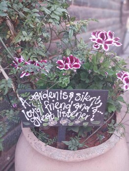 pmg hardware trading as wisteria lane guest house