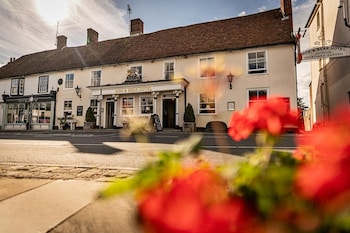 dog and bear hotel