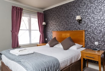 dog and bear hotel